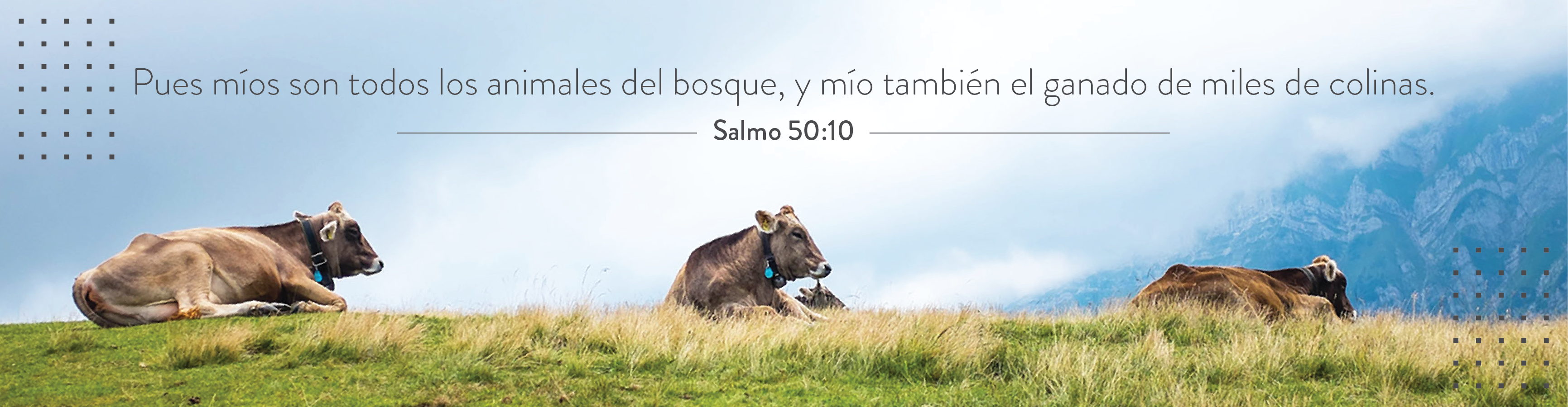 https://production.nazarene.org/sites/default/files/revslider/image/WebsiteBanner_CR_ES-01.png