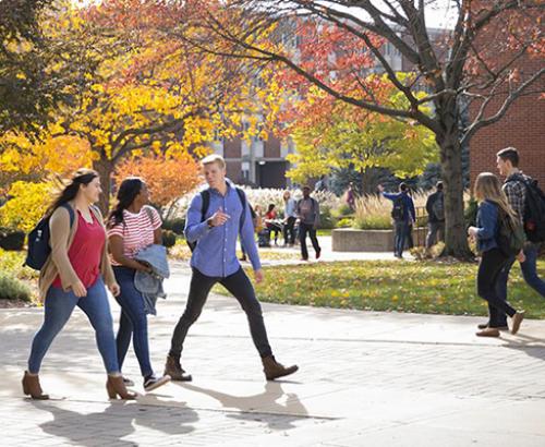 College students back to campus
