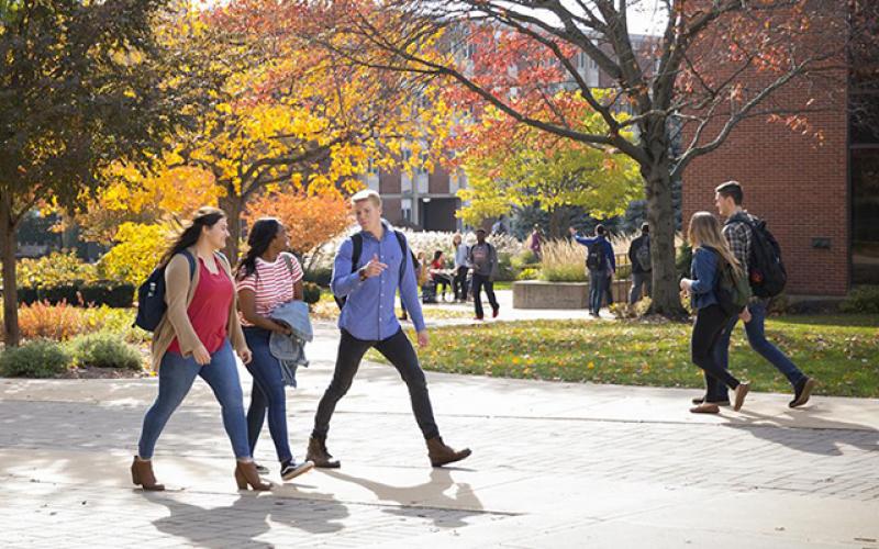 College students back to campus