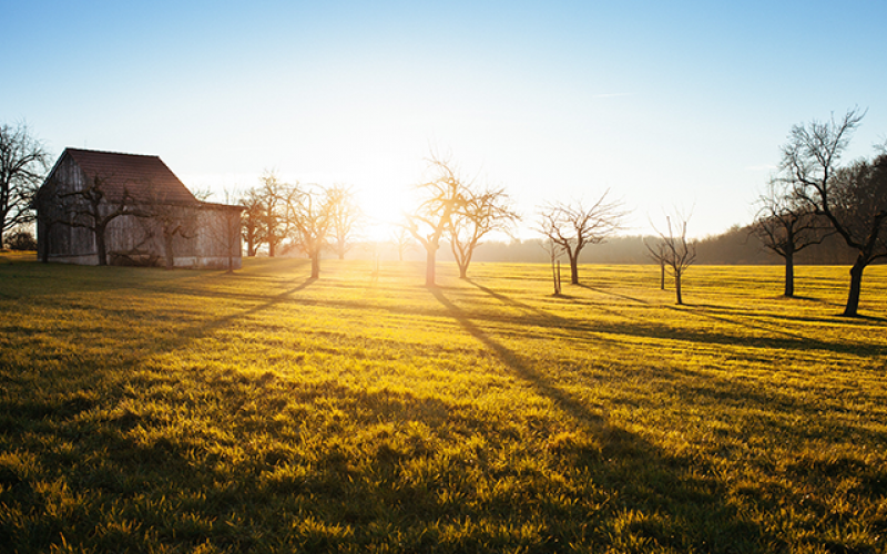 Farm Sunrise